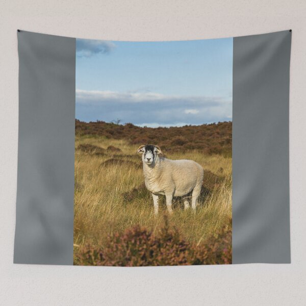 Item preview, Swaledale Sheep designed and sold by Jane Stanley Photography.