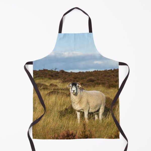 Item preview, Swaledale Sheep designed and sold by Jane Stanley Photography.