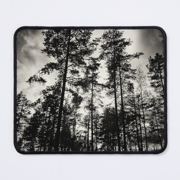 Item preview, Drama queens. Have you ever looked the pines this way bw designed and sold by Jouko Lehto Photography.