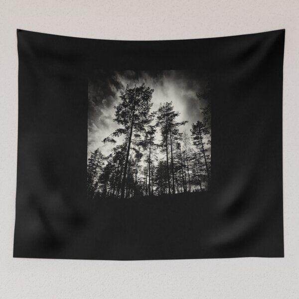 Item preview, Drama queens. Have you ever looked the pines this way bw designed and sold by Jouko Lehto Photography.