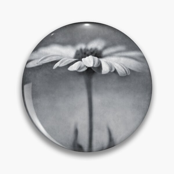 Item preview, B&W daisy designed and sold by Barbara  Corvino.