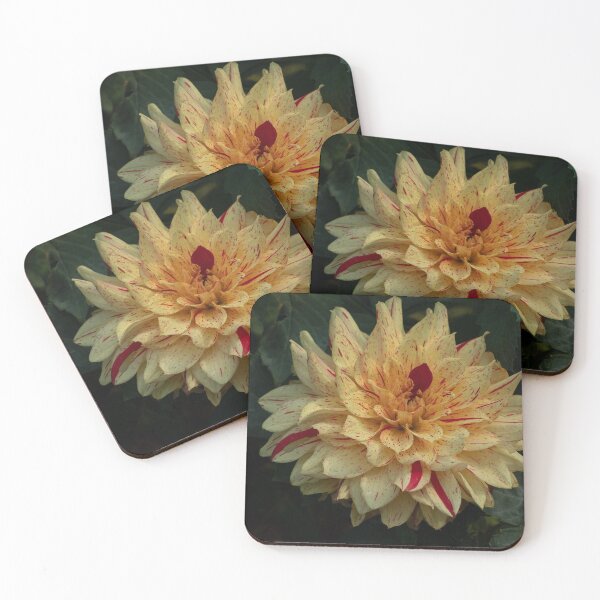 Item preview, Giant Yellow and Red Dahlia designed and sold by Gerda Grice Photography.