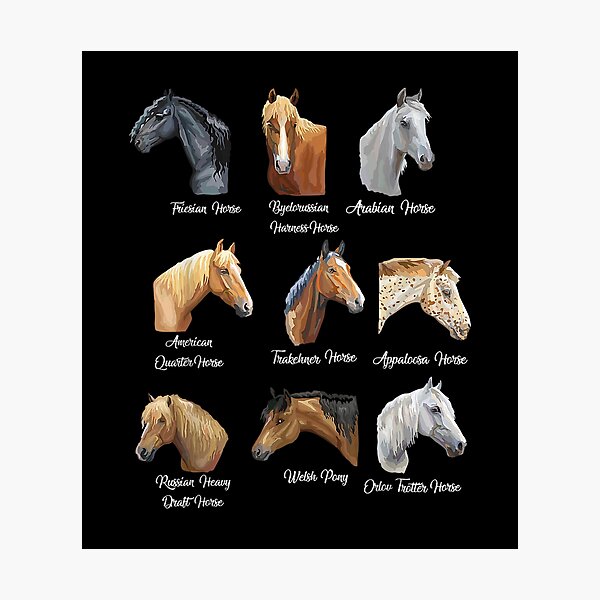 Aperçu de l'œuvre Races de chevaux Équitation équestre pour les filles créée et vendue par MuratshiMana.