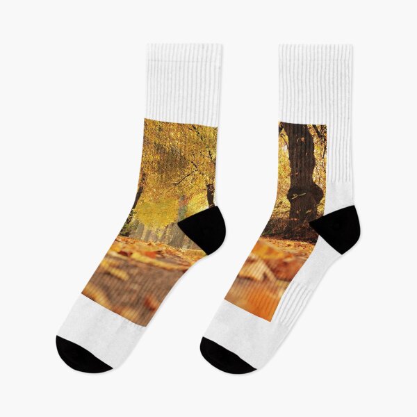 Item preview, Autumn Avenue Trees Path Outdoors Mood designed and sold by MonArtisteSam.