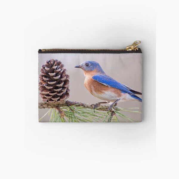 Artikelvorschau, USA.
Nikon D800; Nikkor 500mm Objektiv mit 1.4 Nikkor Telekonverter; f / 7.1; 1 / 100s; ISO 320.
"Kann auch hier angesehen werden": http: //fineartamerica.com/featured/bluebird-on-pine-branch-bonnie-barry.html entworfen und verkauft von Bonnie T. Barry.