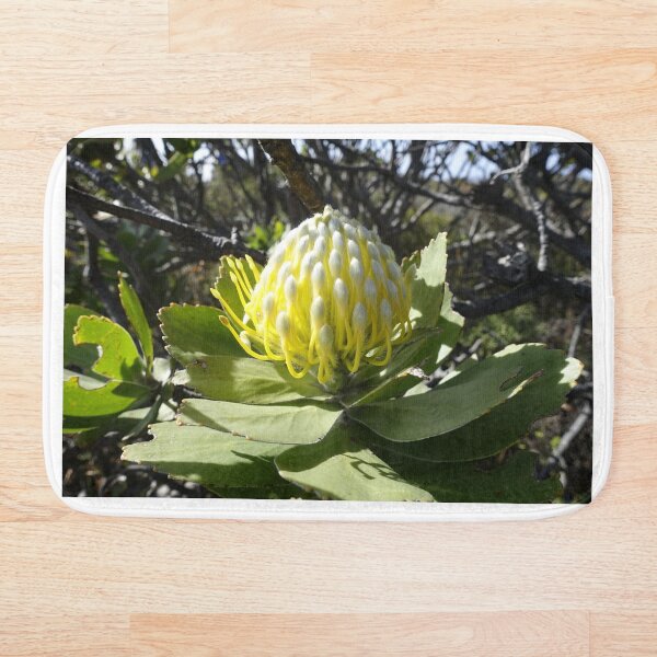 Item preview, Rey Protea en el Cabo de Buena Esperanza designed and sold by Stratus13.