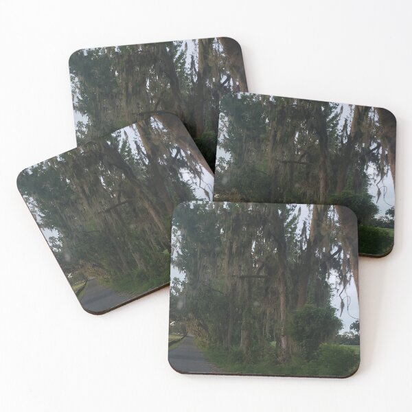 Item preview, Ocala Florida Tree Canopy designed and sold by ZCS2014.