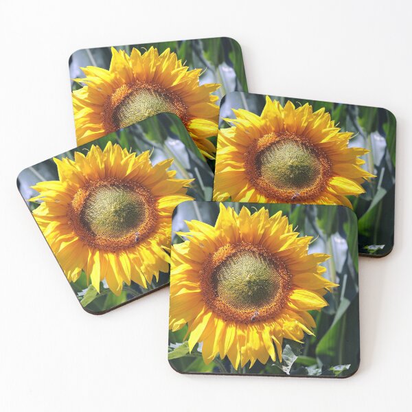 Item preview, Sunflower Blossom Yellow Flower Garden Petals designed and sold by MonArtisteSam.