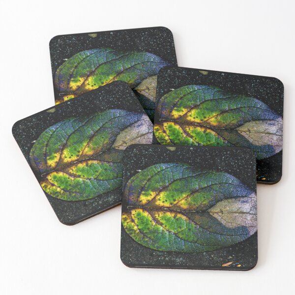 Item preview, Leaf on the Boardwalk designed and sold by MelBolin.