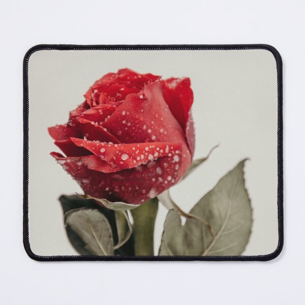 Item preview, Winter Snow Icy Rose designed and sold by JLPhotographer.