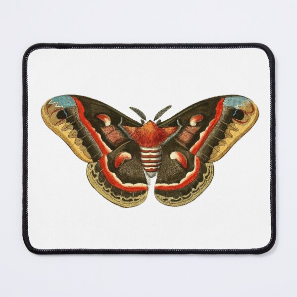 Item preview, Hyalophora cecropia designed and sold by LegendaryOddity.