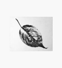 Scanned Leaf Art Board