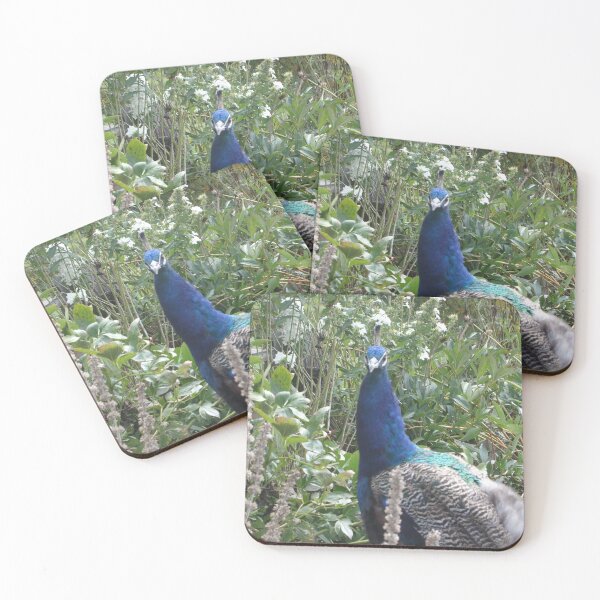 Item preview, Peacock in a field designed and sold by ZCS2014.