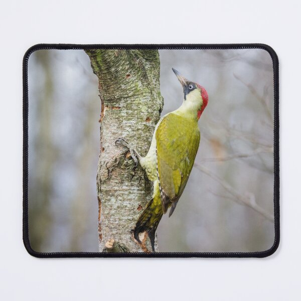 Item preview, Green Woodpecker designed and sold by Alec Stewart.