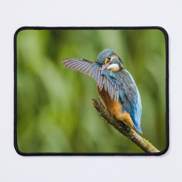 Item preview, Kingfisher Preening designed and sold by Alec Stewart.