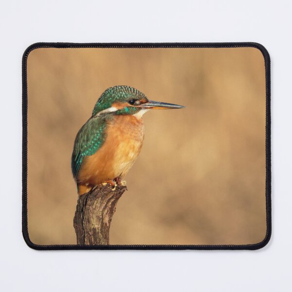 Item preview, River Kingfisher designed and sold by Alec Stewart.