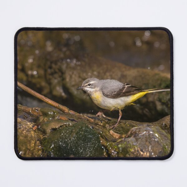 Item preview, Grey Wagtail designed and sold by Alec Stewart.