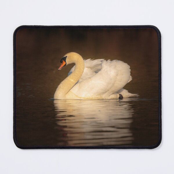 Item preview, Mute Swan  designed and sold by Alec Stewart.