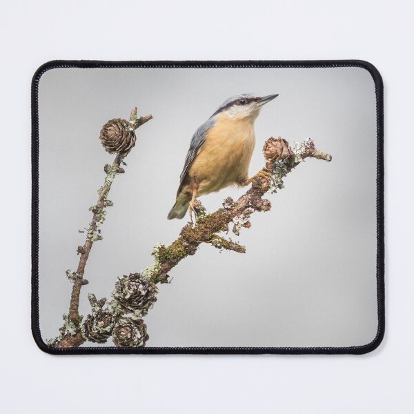 Item preview, Nuthatch designed and sold by Alec Stewart.