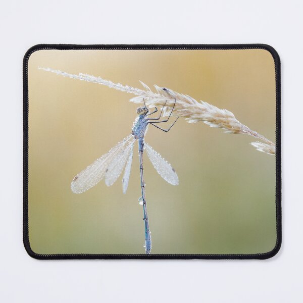 Item preview, Emerald Damselfly designed and sold by Alec Stewart.