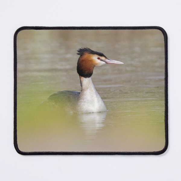 Item preview, Grebe Portrait designed and sold by Alec Stewart.