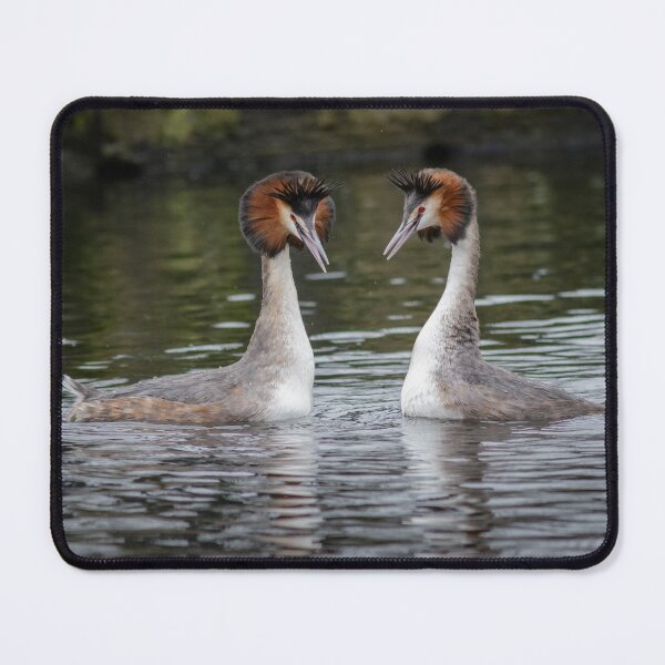 Item preview, Together designed and sold by Alec Stewart.