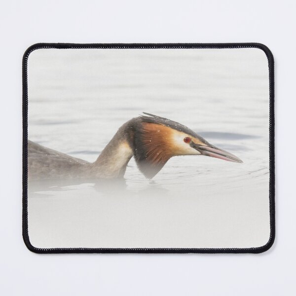 Item preview, Great Crested Grebe Up Close designed and sold by Alec Stewart.