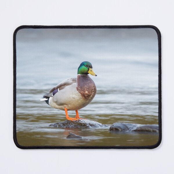 Item preview, Mallard designed and sold by Alec Stewart.