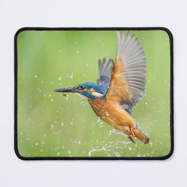 Item preview, Kingfisher with Fish designed and sold by Alec Stewart.