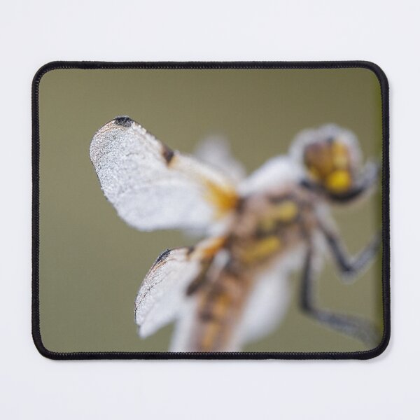 Item preview, Dragonfly Art designed and sold by Alec Stewart.