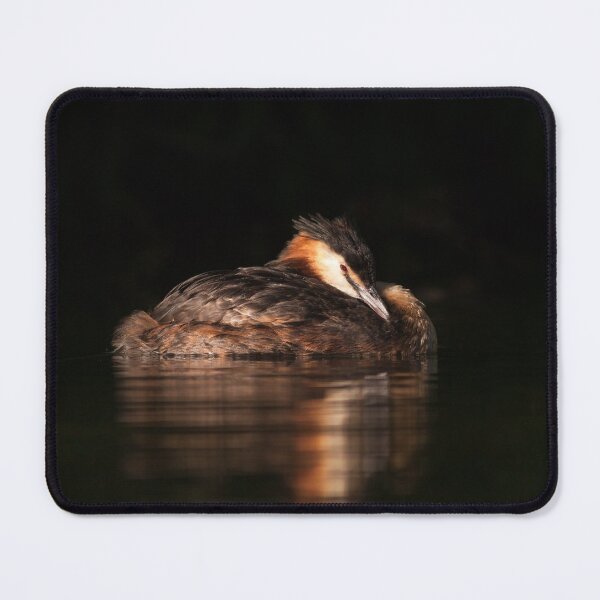 Item preview, Great Crested Grebe Resting designed and sold by Alec Stewart.