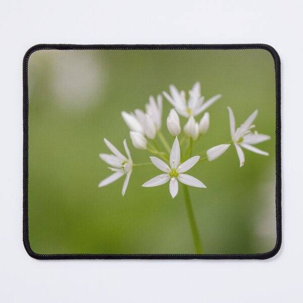 Item preview, Wild Garlic designed and sold by Alec Stewart.