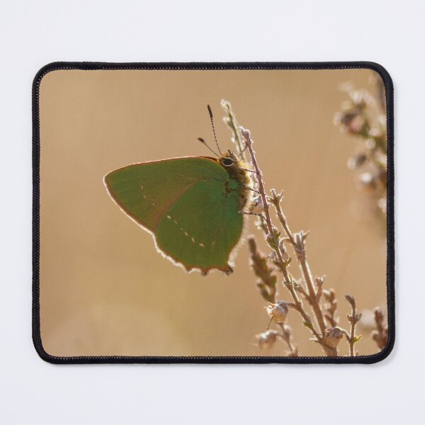 Item preview, Green Hairstreak Butterfly designed and sold by Alec Stewart.