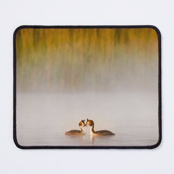Item preview, Love designed and sold by Alec Stewart.