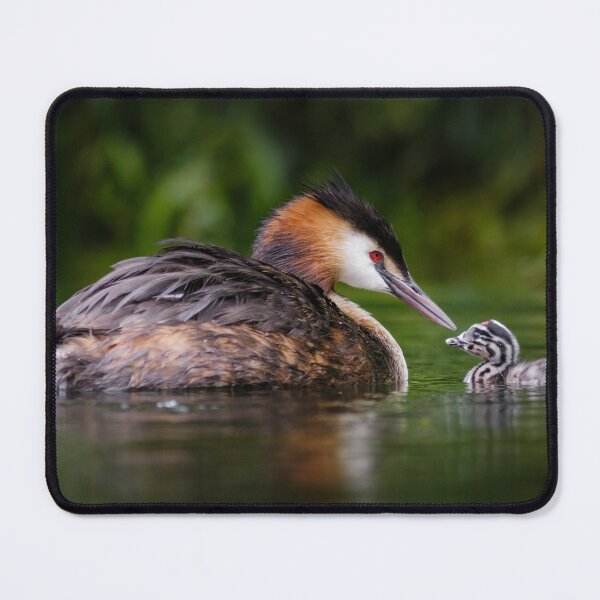 Item preview, Mother and Baby designed and sold by Alec Stewart.