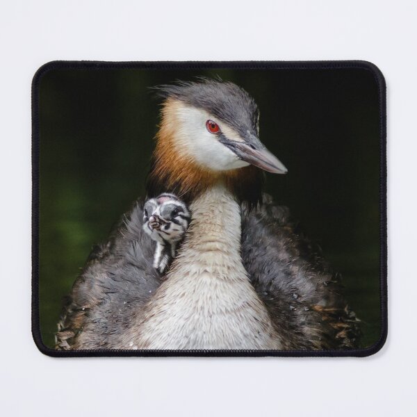 Item preview, Cute Chick designed and sold by Alec Stewart.