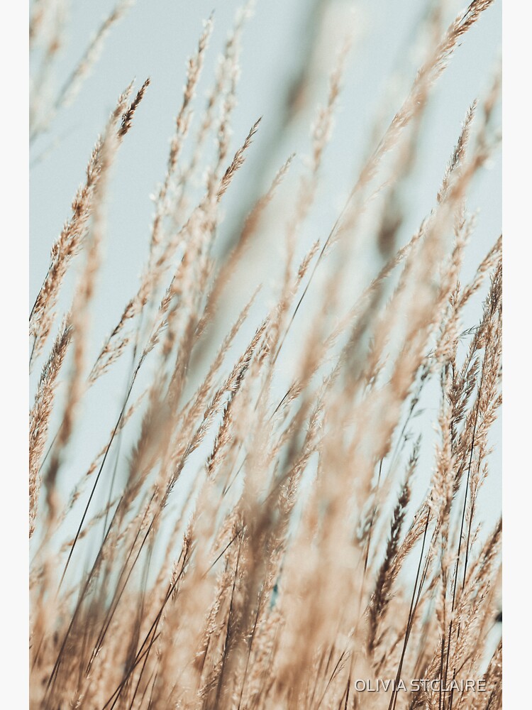  "Wandering Through an Autumn Day x mint green nature photo" Sticker for ...