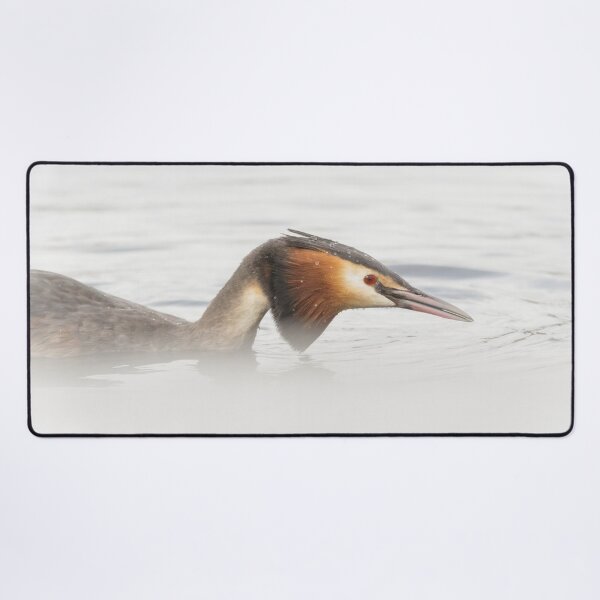 Item preview, Great Crested Grebe Up Close designed and sold by Alec Stewart.