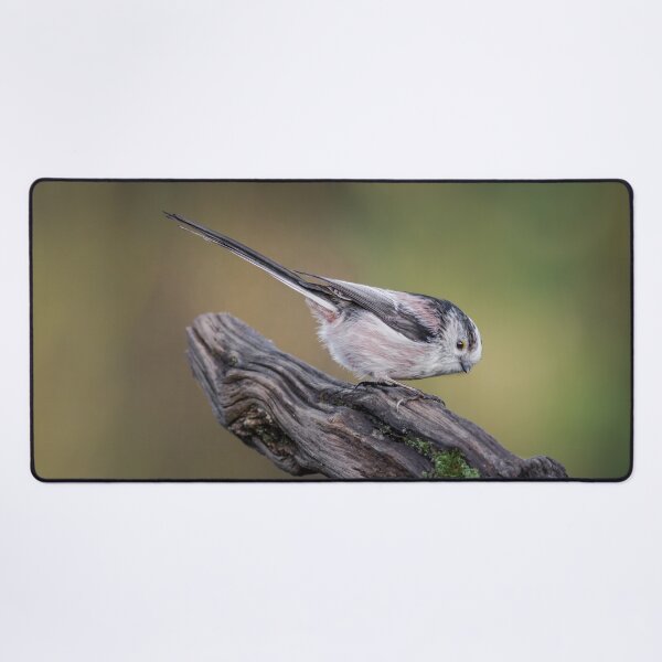 Item preview, Long Tailed Tit designed and sold by Alec Stewart.