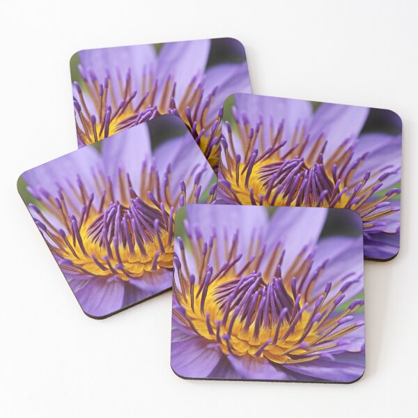 Item preview, Water Lily Lotus Flower Aquatic Plant Bloom Nature designed and sold by MonArtisteSam.