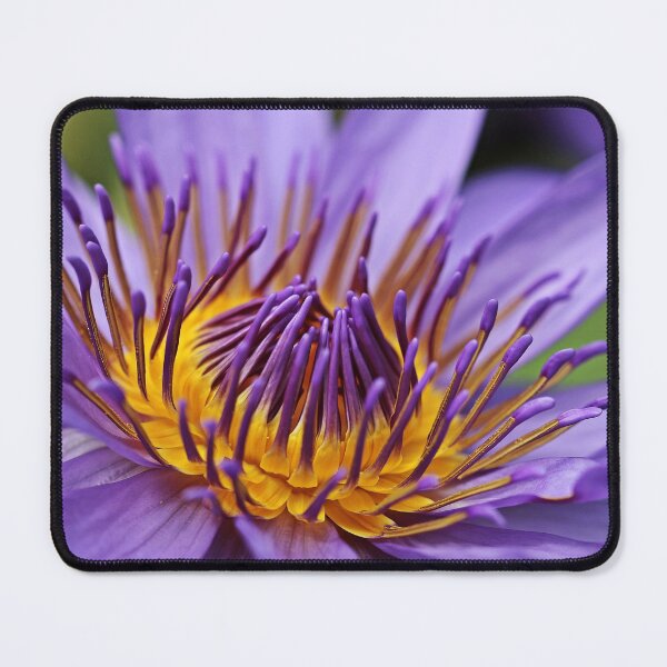 Item preview, Water Lily Lotus Flower Aquatic Plant Bloom Nature designed and sold by MonArtisteSam.