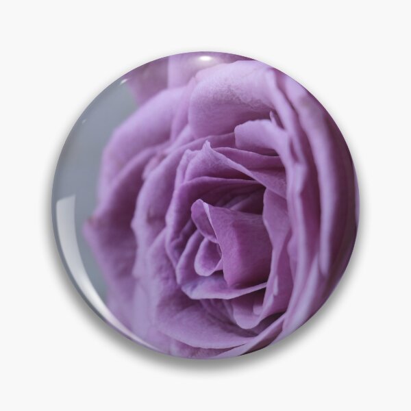 Item preview, Rosa Floribunda Flower Of Pink Bloom Purple Flower designed and sold by MonArtisteSam.