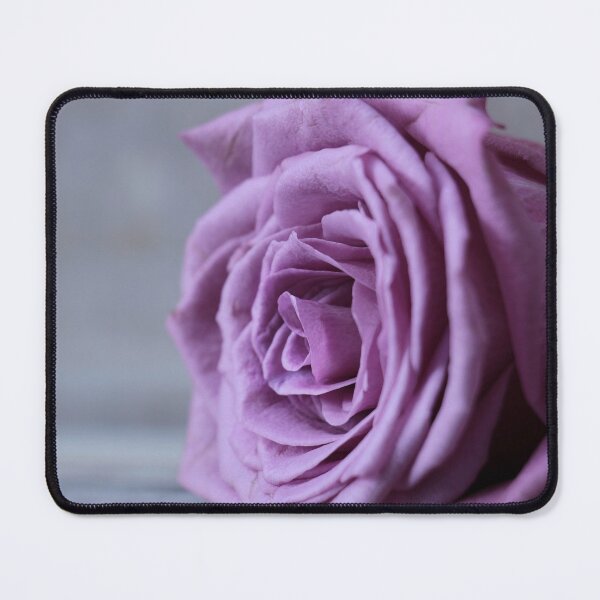 Item preview, Rosa Floribunda Flower Of Pink Bloom Purple Flower designed and sold by MonArtisteSam.