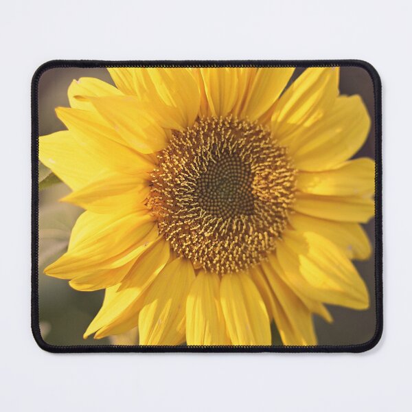 Item preview, Sunflower Flower Composites Helianthus Annuus designed and sold by MonArtisteSam.