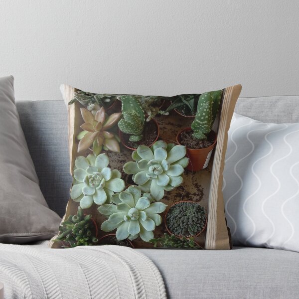 Item preview, succulents designed and sold by Martascreations.