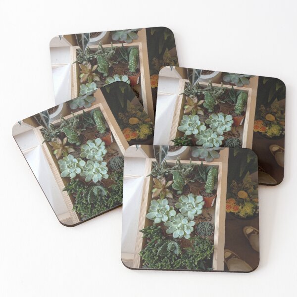 Item preview, succulents designed and sold by Martascreations.