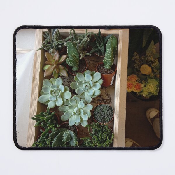 Item preview, succulents designed and sold by Martascreations.