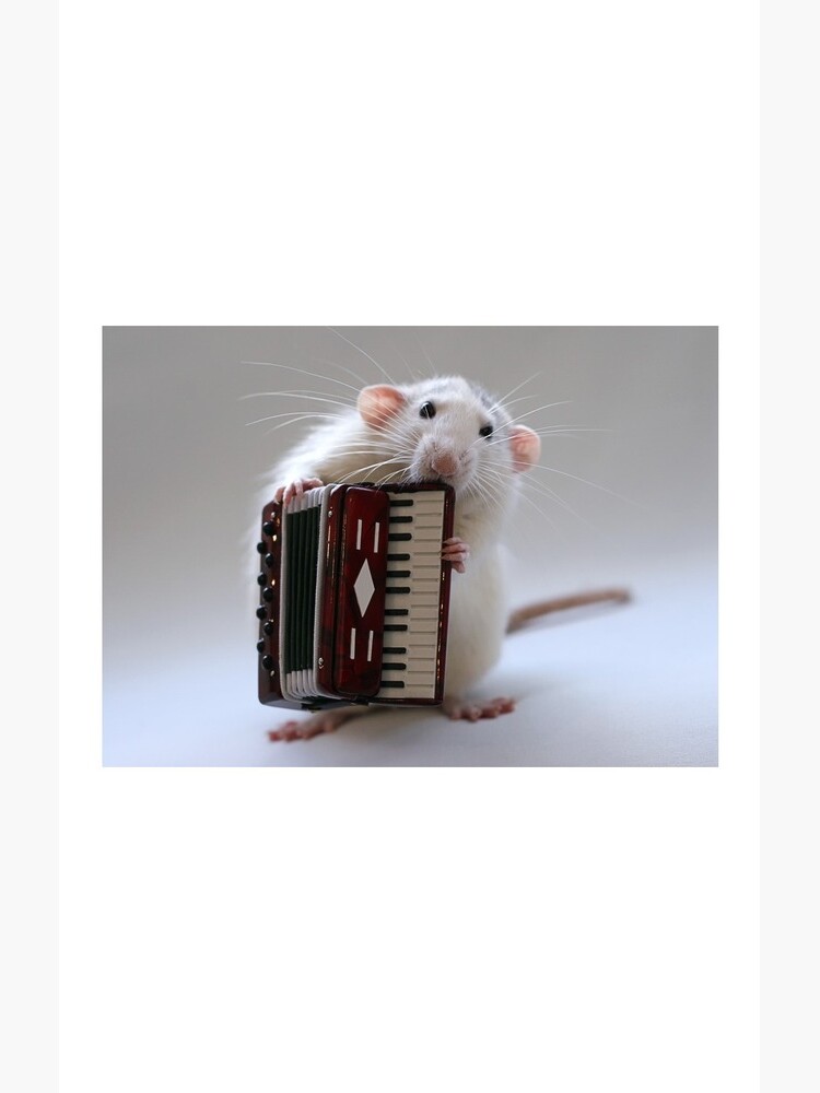 The accordeonist. by Ellen