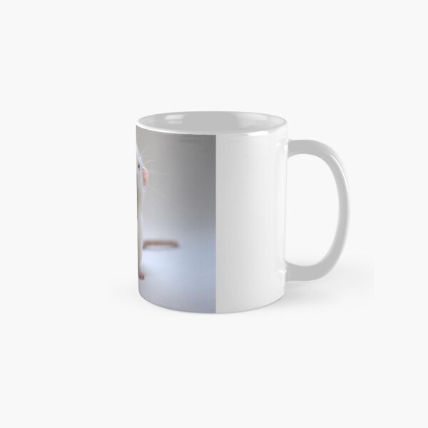 The accordeonist. Classic Mug