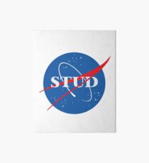NASA Stud Art Board